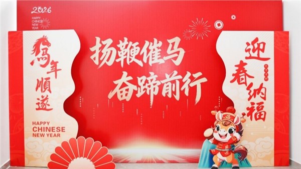 揚鞭催馬開新局，奮蹄前行譜華章——特力公司2025年度總結表彰大會圓滿舉行